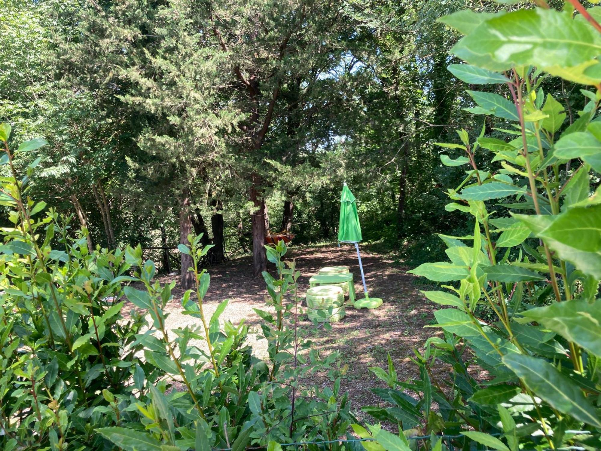 Agriturismo Le Colline 蒙泰斯库达伊奥 外观 照片